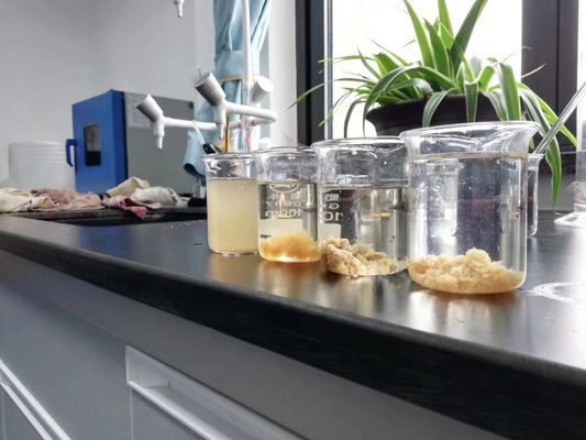 Water Decoloring Agent for Textile Dye Wastewater Treatment