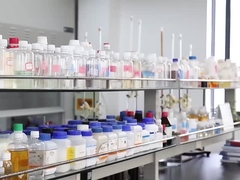 Πολυδάδαμα